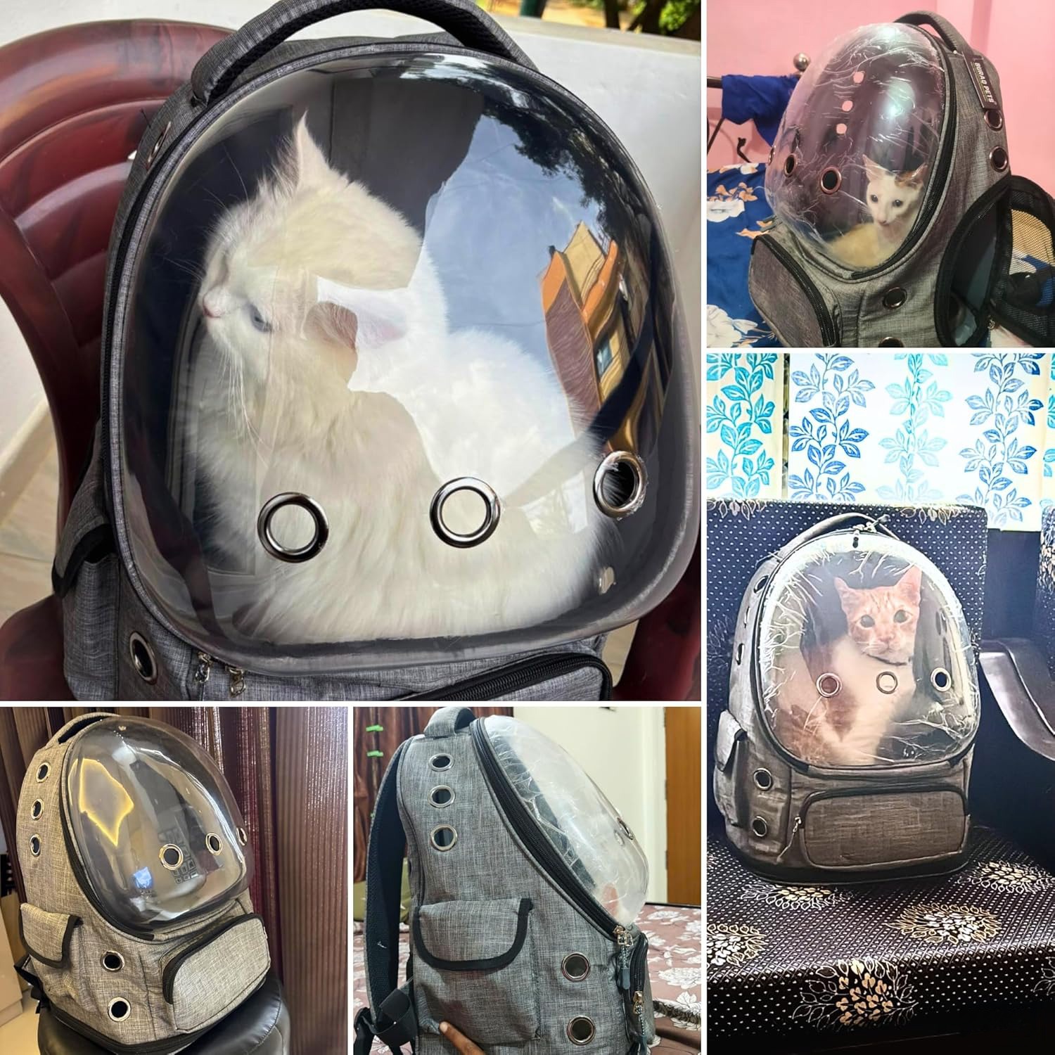 Stylish Clear Window Cat Backpack – Comfortable Pet Travel Carrier - Image 2