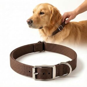 Durable Dog Collar Combo Set – Metal Chain for Puppies & Adult Dogs