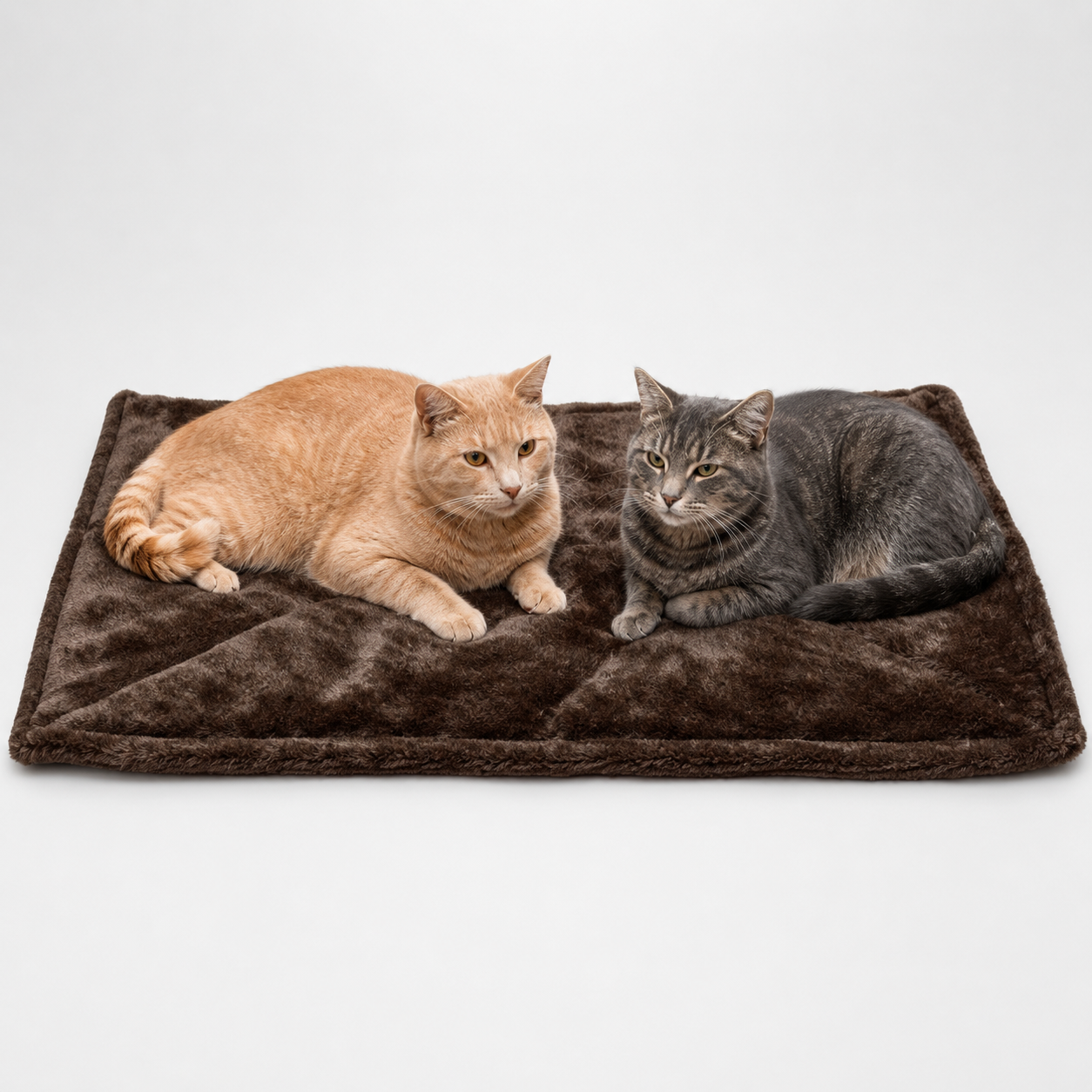 Cozy Insulated Pet Bed Pad – Lightweight Self-Warming Mat