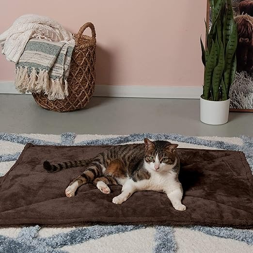 Cozy Insulated Pet Bed Pad – Lightweight Self-Warming Mat - Image 2